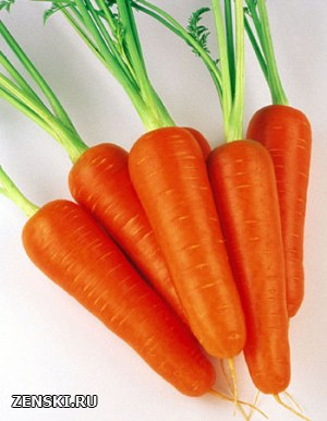 Фото: морковь